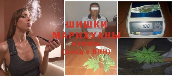 МДПВ Бородино