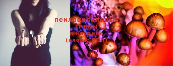 кристаллы Белокуриха