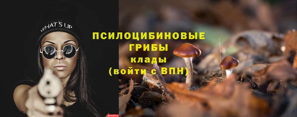 ГАЛЛЮЦИНОГЕННЫЕ ГРИБЫ Богородицк