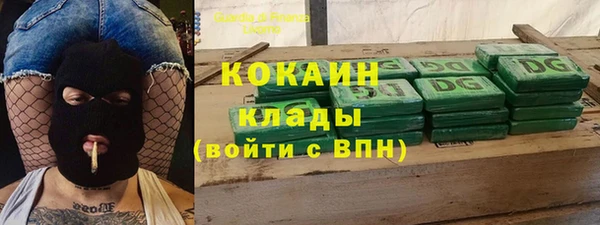 МДПВ Бородино