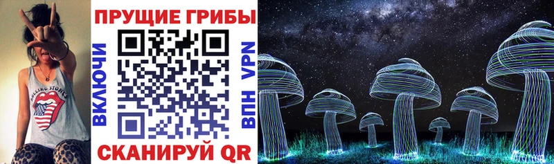 Галлюциногенные грибы Magic Shrooms  где найти наркотики  Болотное 